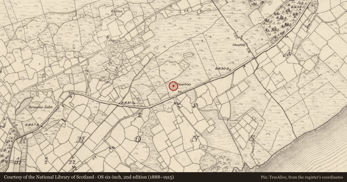 Ordnance Survey six-inch map, 2nd edition (1888–1915) covering the location of Hut site, Termons, County Kerry, with a pin at the register's coordinates