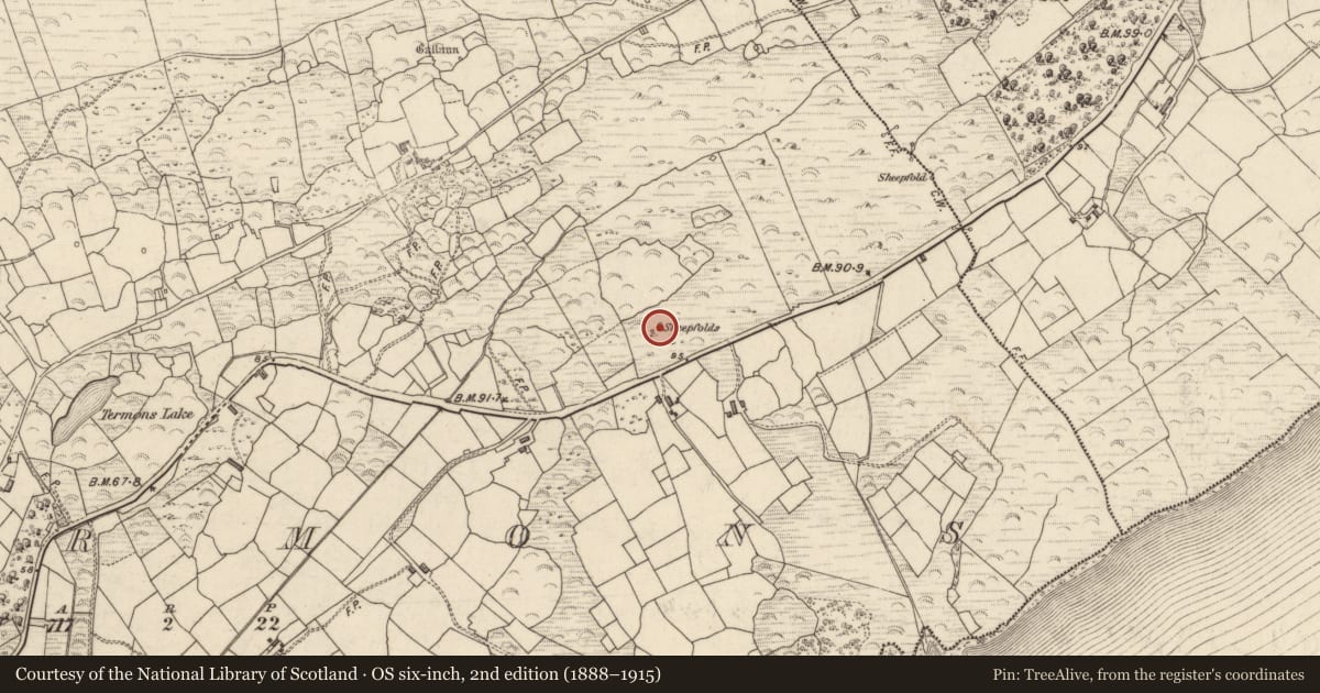 Ordnance Survey six-inch map, 2nd edition (1888–1915) covering the location of Hut site, Termons, County Kerry, with a pin at the register's coordinates