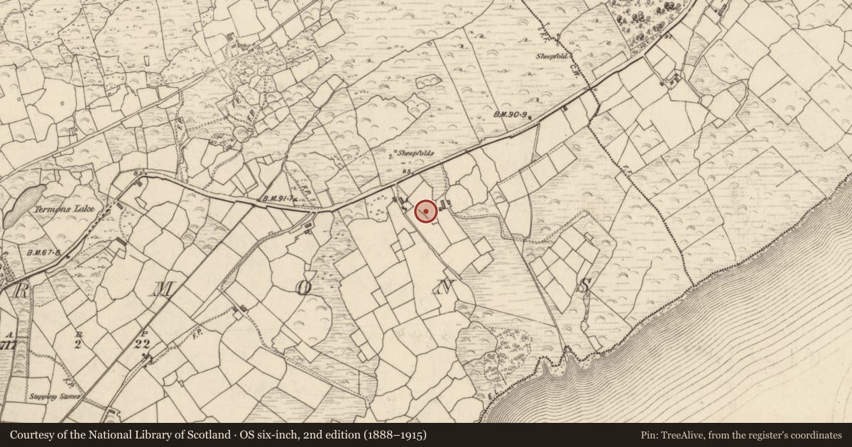 Ordnance Survey six-inch map, 2nd edition (1888–1915) covering the location of Standing stone, Termons, County Kerry, with a pin at the register's coordinates