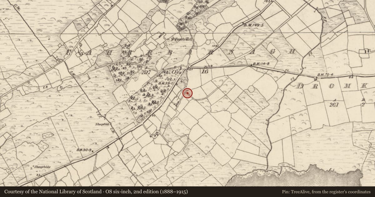 Ordnance Survey six-inch map, 2nd edition (1888–1915) covering the location of Rock art, An Chathair Bhearnach, County Kerry, with a pin at the register's coordinates