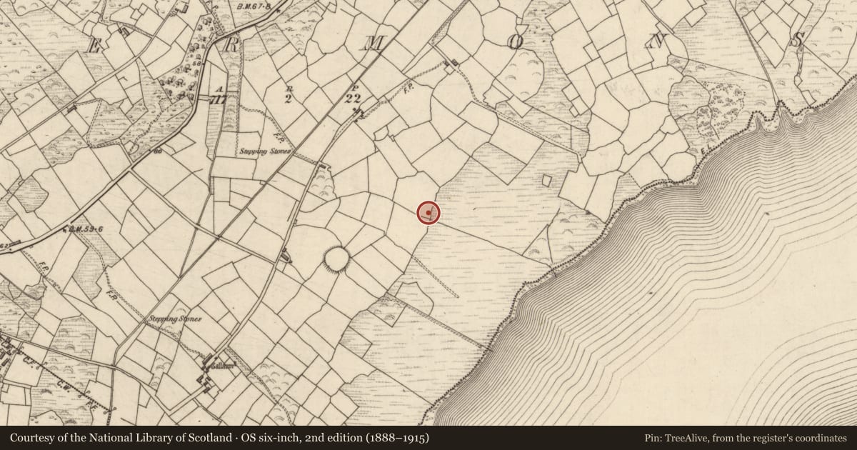 Ordnance Survey six-inch map, 2nd edition (1888–1915) covering the location of Standing stone, Termons, County Kerry, with a pin at the register's coordinates