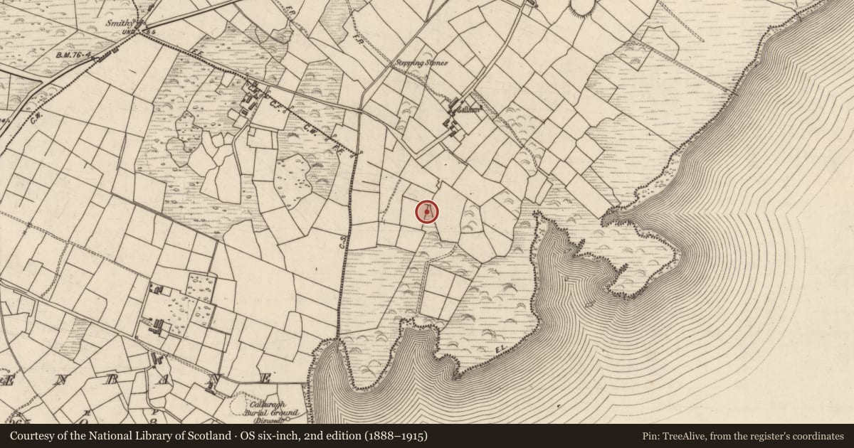 Ordnance Survey six-inch map, 2nd edition (1888–1915) covering the location of Anomalous stone group, Termons, County Kerry, with a pin at the register's coordinates