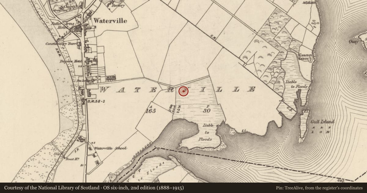 Ordnance Survey six-inch map, 2nd edition (1888–1915) covering the location of Standing stone, Waterville, County Kerry, with a pin at the register's coordinates