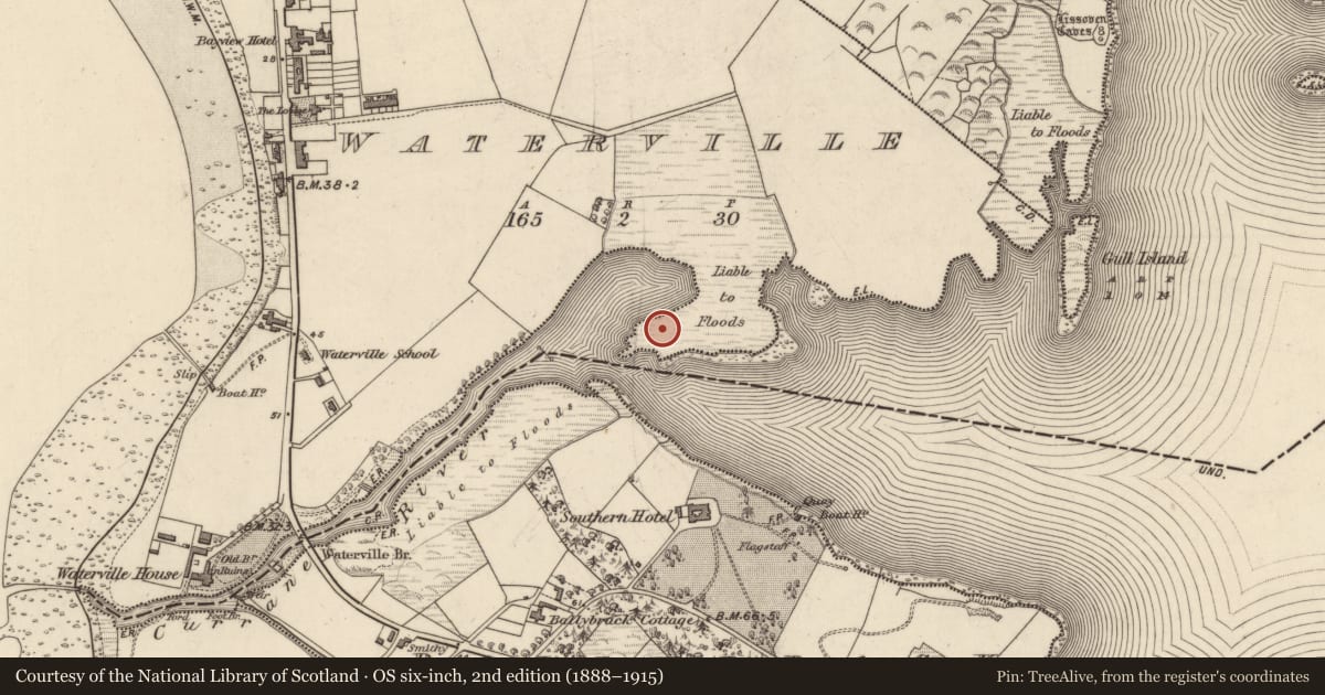 Ordnance Survey six-inch map, 2nd edition (1888–1915) covering the location of Field boundary, Waterville, County Kerry, with a pin at the register's coordinates