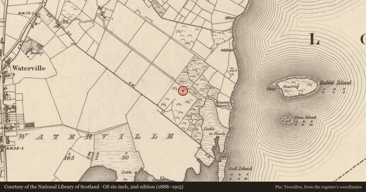 Ordnance Survey six-inch map, 2nd edition (1888–1915) covering the location of Megalithic structure, An Bhinn Bhán (Uíbh Ráthach), County Kerry, with a pin at the register's coordinates