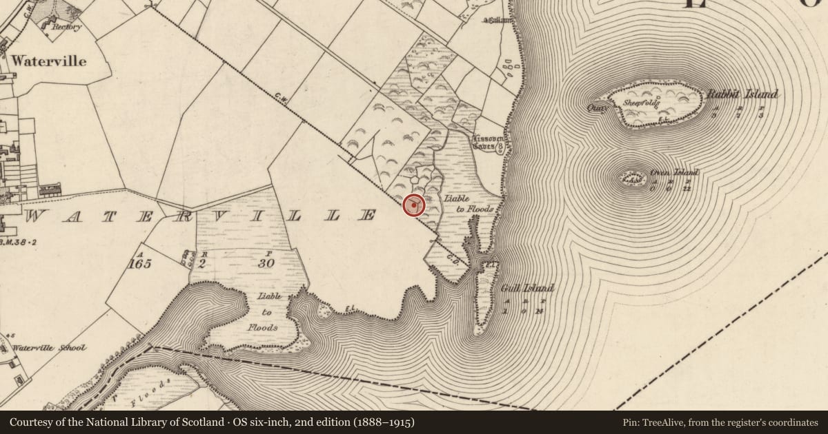 Ordnance Survey six-inch map, 2nd edition (1888–1915) covering the location of Hut site, An Bhinn Bhán (Uíbh Ráthach), County Kerry, with a pin at the register's coordinates