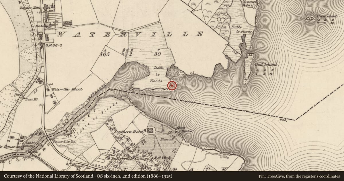 Ordnance Survey six-inch map, 2nd edition (1888–1915) covering the location of Hut site, Waterville, County Kerry, with a pin at the register's coordinates
