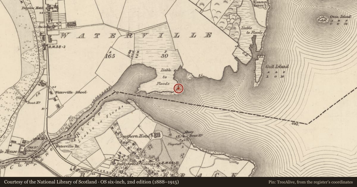 Ordnance Survey six-inch map, 2nd edition (1888–1915) covering the location of Enclosure, Waterville, County Kerry, with a pin at the register's coordinates
