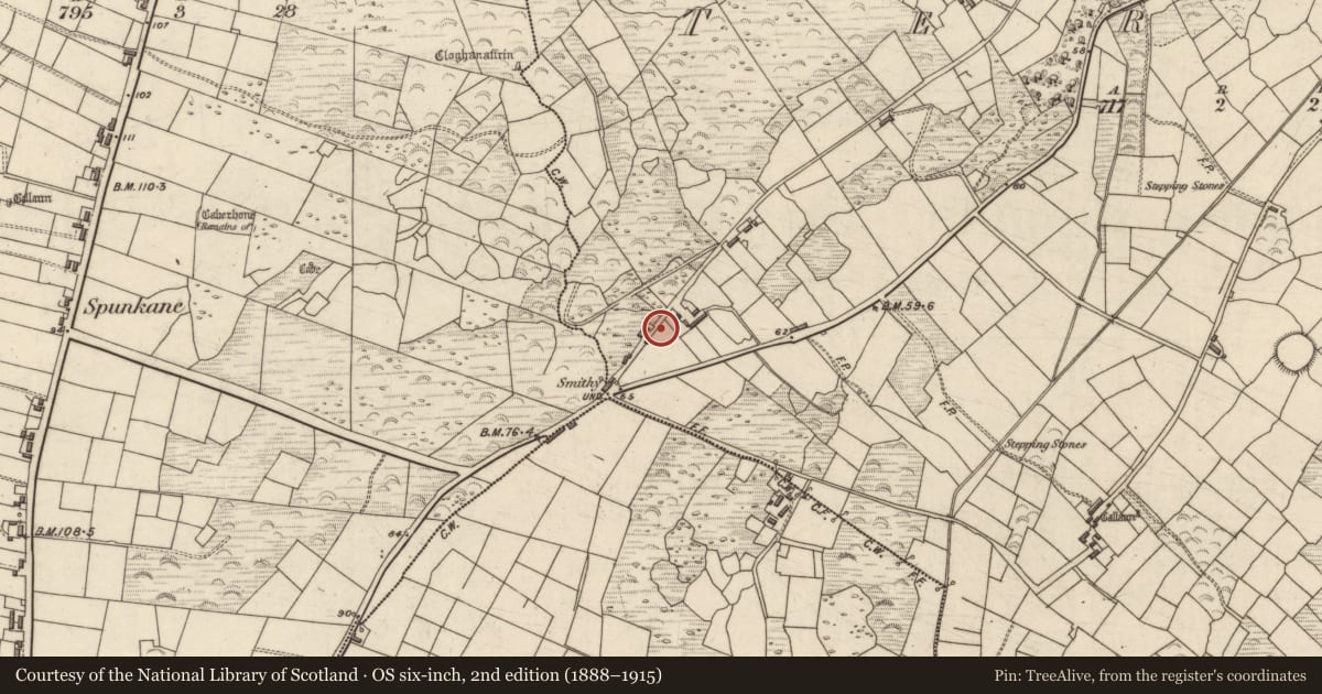 Ordnance Survey six-inch map, 2nd edition (1888–1915) covering the location of Rock art, Termons, County Kerry, with a pin at the register's coordinates