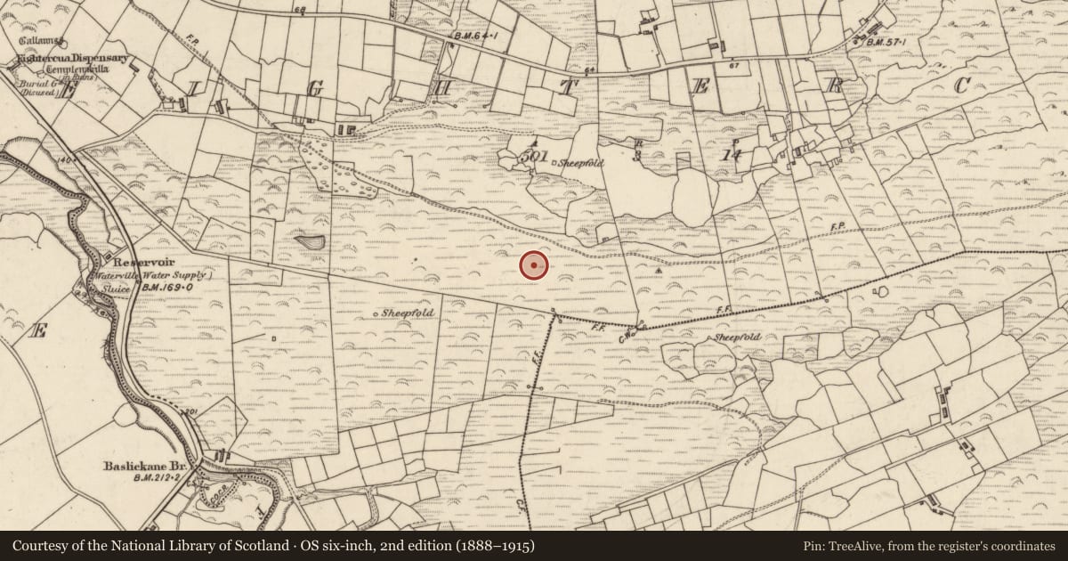 Ordnance Survey six-inch map, 2nd edition (1888–1915) covering the location of Field boundary, Íochtar Cua, County Kerry, with a pin at the register's coordinates