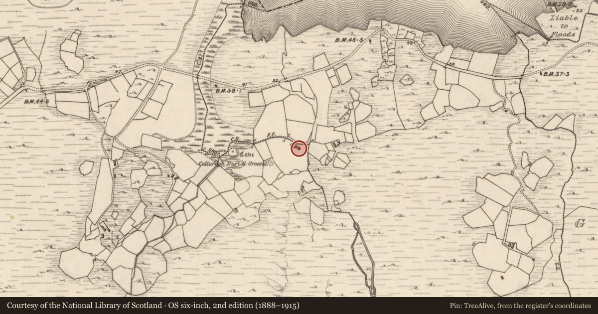 Ordnance Survey six-inch map, 2nd edition (1888–1915) covering the location of Standing stone, Inse Fhearann Na Gcléireach, County Kerry, with a pin at the register's coordinates