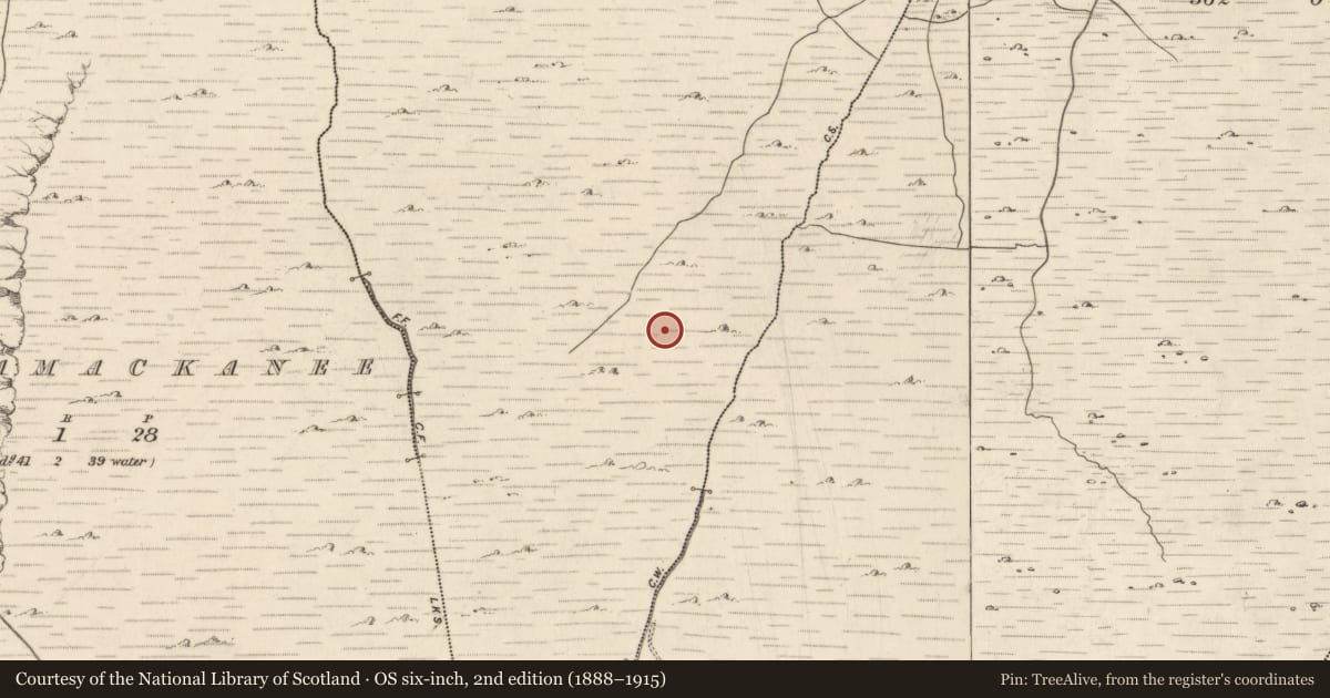 Ordnance Survey six-inch map, 2nd edition (1888–1915) covering the location of Hut site, Na Grága, County Kerry, with a pin at the register's coordinates