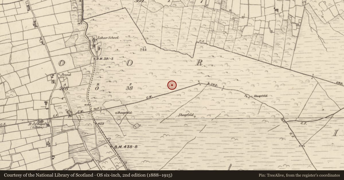 Ordnance Survey six-inch map, 2nd edition (1888–1915) covering the location of Hut site, Teamhair (Dún Cíaráin Theas), County Kerry, with a pin at the register's coordinates