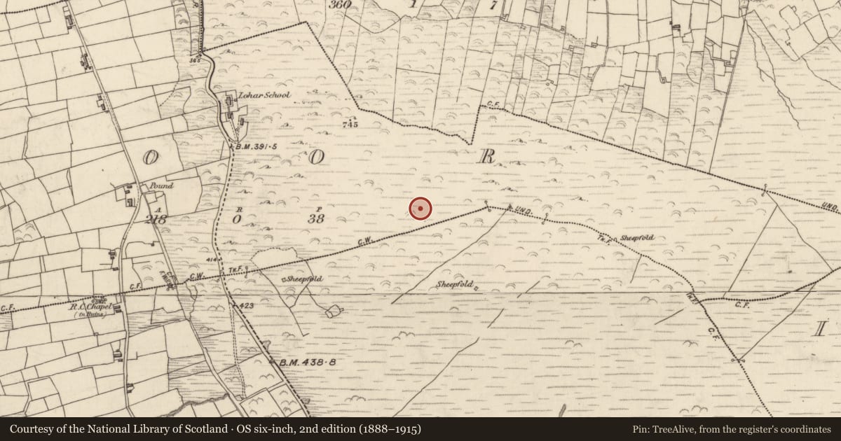 Ordnance Survey six-inch map, 2nd edition (1888–1915) covering the location of Hut site, Teamhair (Dún Cíaráin Theas), County Kerry, with a pin at the register's coordinates