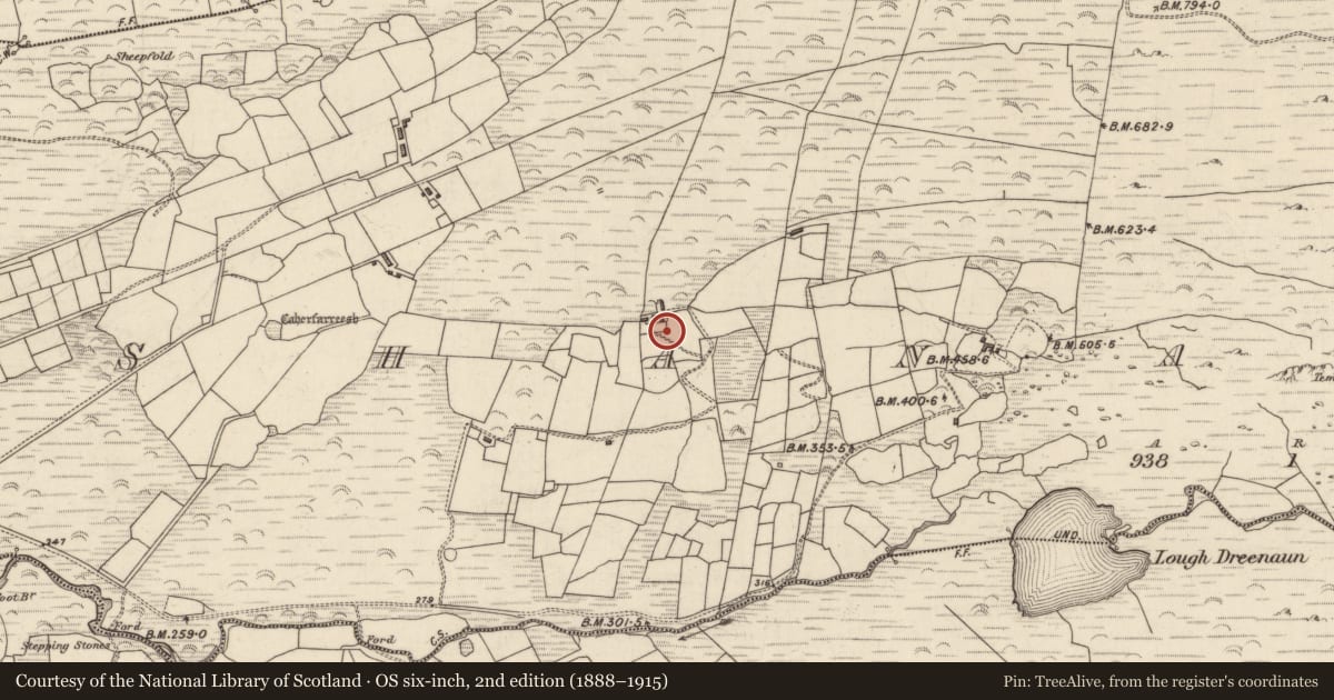 Ordnance Survey six-inch map, 2nd edition (1888–1915) covering the location of Cross-slab, An Seanchnoc (Dún Cíaráin Theas), County Kerry, with a pin at the register's coordinates