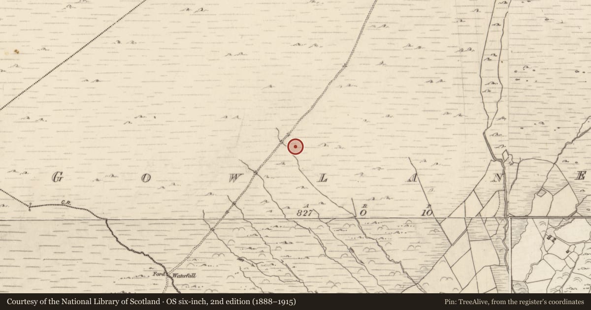 Ordnance Survey six-inch map, 2nd edition (1888–1915) covering the location of Hut site, Gowlanes, County Kerry, with a pin at the register's coordinates