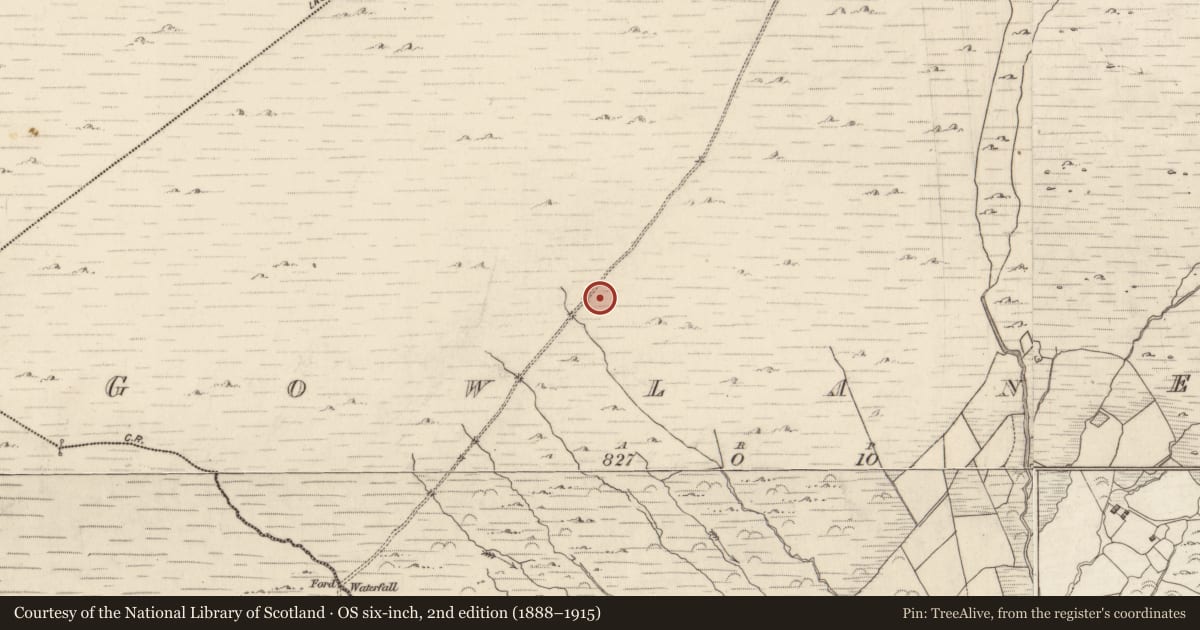 Ordnance Survey six-inch map, 2nd edition (1888–1915) covering the location of Hut site, Gowlanes, County Kerry, with a pin at the register's coordinates