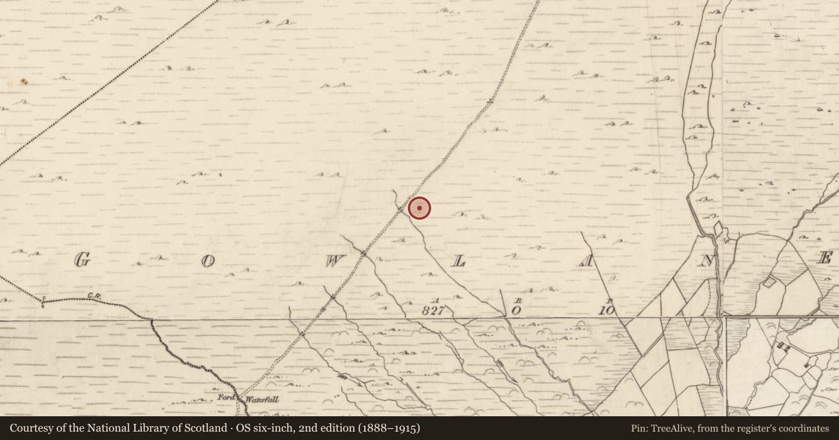 Ordnance Survey six-inch map, 2nd edition (1888–1915) covering the location of Field system, Gowlanes, County Kerry, with a pin at the register's coordinates