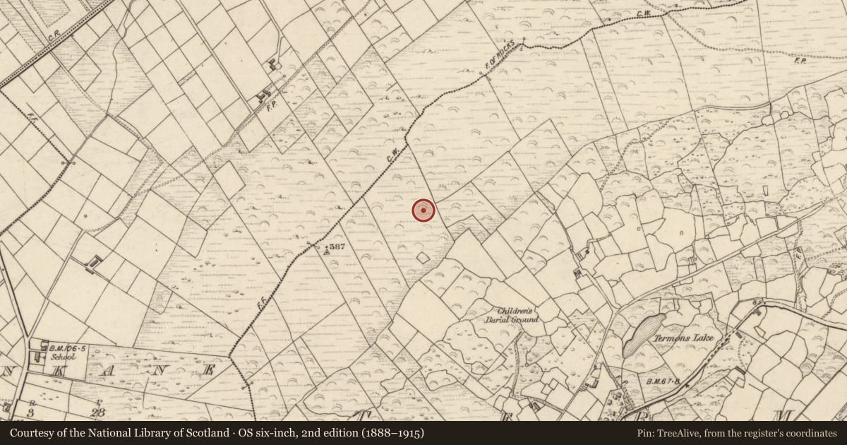 Ordnance Survey six-inch map, 2nd edition (1888–1915) covering the location of Hut site, Termons, County Kerry, with a pin at the register's coordinates