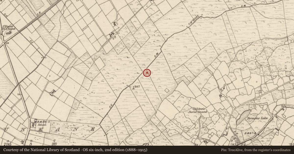 Ordnance Survey six-inch map, 2nd edition (1888–1915) covering the location of Hut site, Termons, County Kerry, with a pin at the register's coordinates