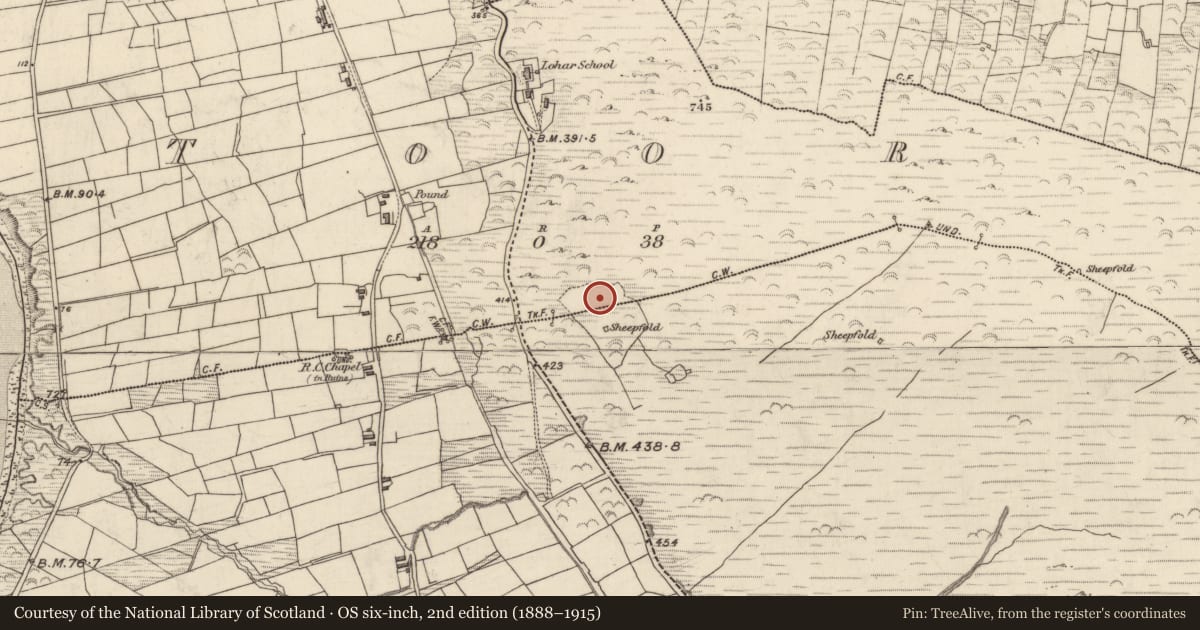 Ordnance Survey six-inch map, 2nd edition (1888–1915) covering the location of Hut site, Teamhair (Dún Cíaráin Theas), County Kerry, with a pin at the register's coordinates