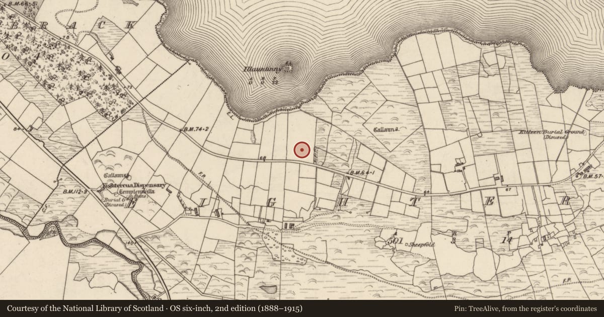 Ordnance Survey six-inch map, 2nd edition (1888–1915) covering the location of Kiln - corn-drying, Íochtar Cua, County Kerry, with a pin at the register's coordinates