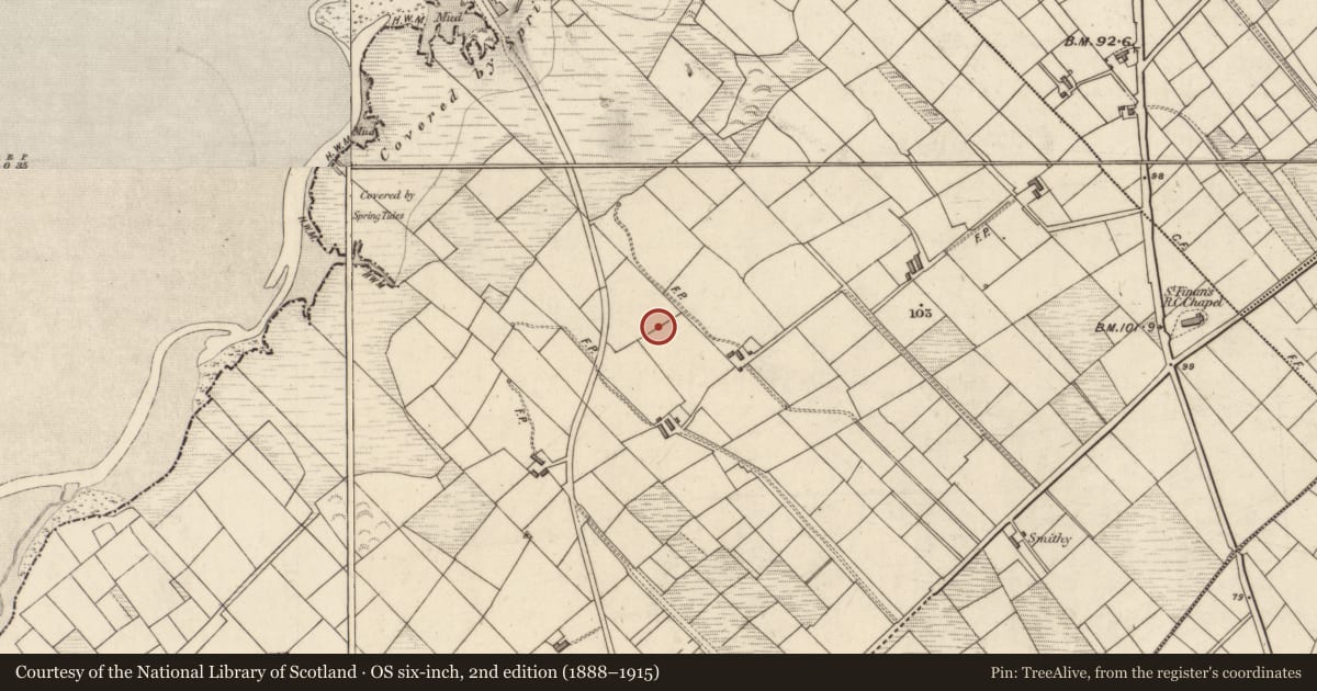 Ordnance Survey six-inch map, 2nd edition (1888–1915) covering the location of Children's burial ground, An Mhuiríoch (TC An tImleach), County Kerry, with a pin at the register's coordinates