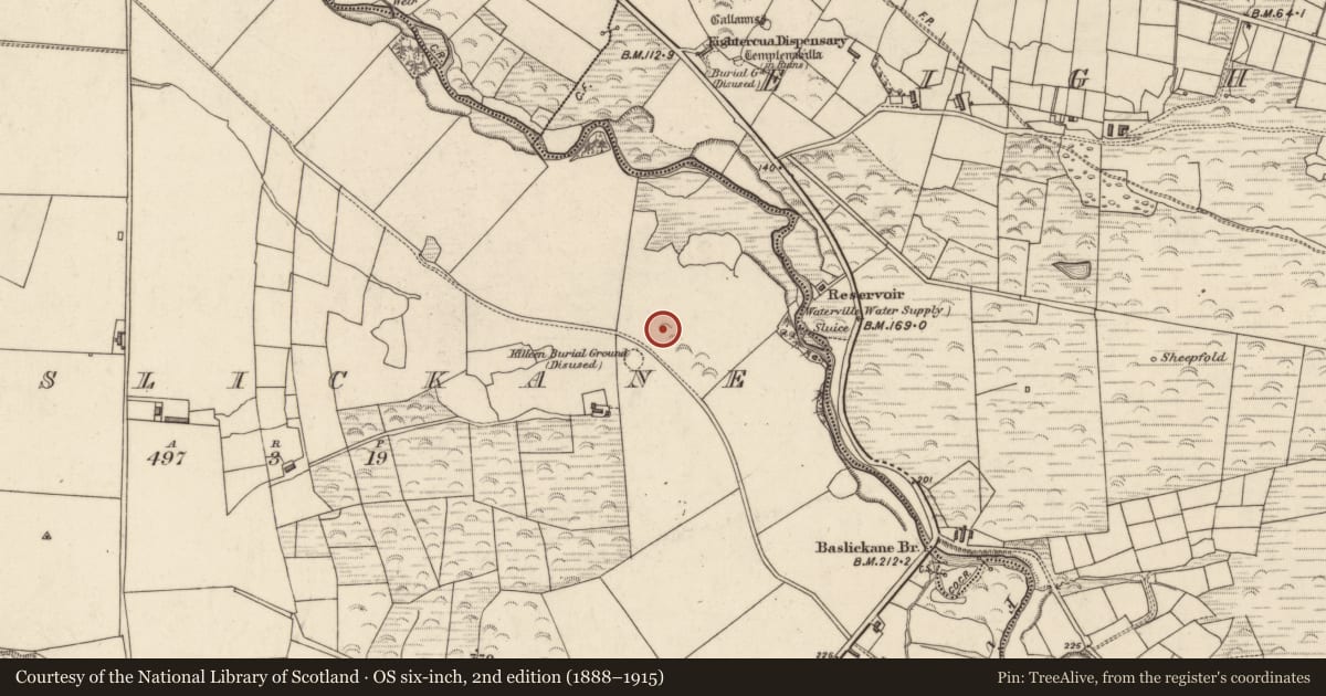 Ordnance Survey six-inch map, 2nd edition (1888–1915) covering the location of Enclosure, Baslickane, County Kerry, with a pin at the register's coordinates