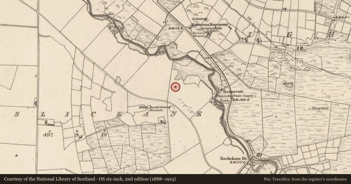 Ordnance Survey six-inch map, 2nd edition (1888–1915) covering the location of Hut site, Baslickane, County Kerry, with a pin at the register's coordinates