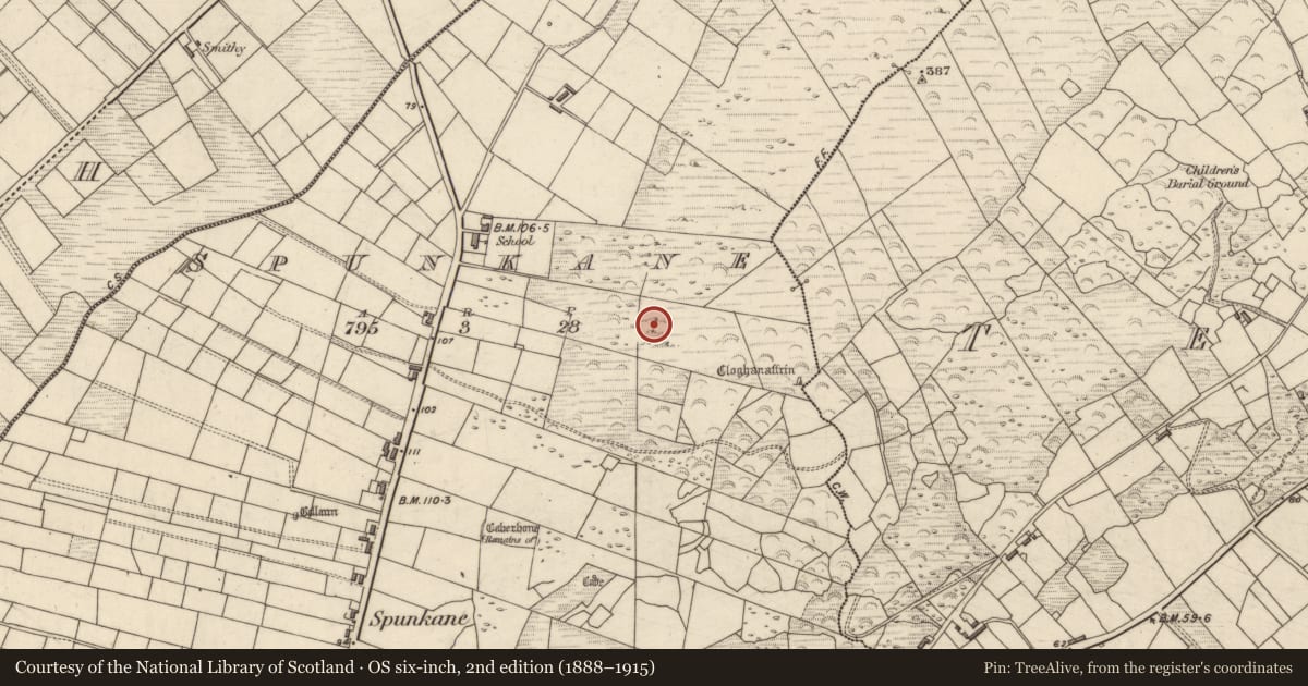 Ordnance Survey six-inch map, 2nd edition (1888–1915) covering the location of Rock art, Spunkane, County Kerry, with a pin at the register's coordinates