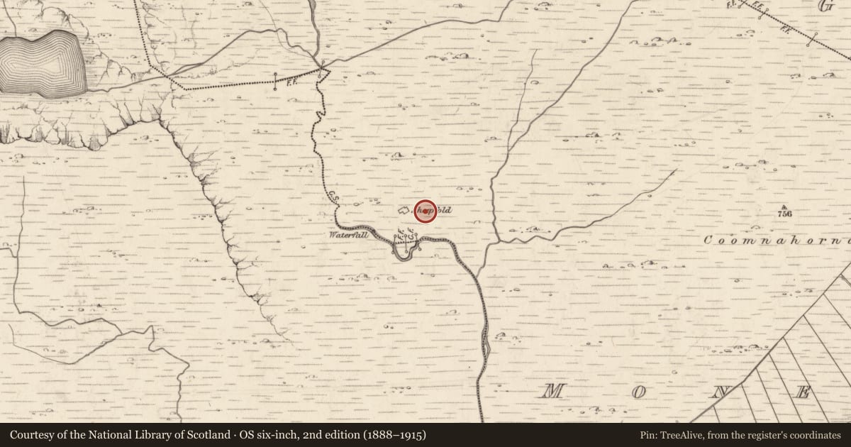 Ordnance Survey six-inch map, 2nd edition (1888–1915) covering the location of Field boundary, Moneyflugh, County Kerry, with a pin at the register's coordinates