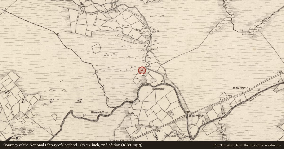 Ordnance Survey six-inch map, 2nd edition (1888–1915) covering the location of Standing stone, Gowlanes East, County Kerry, with a pin at the register's coordinates