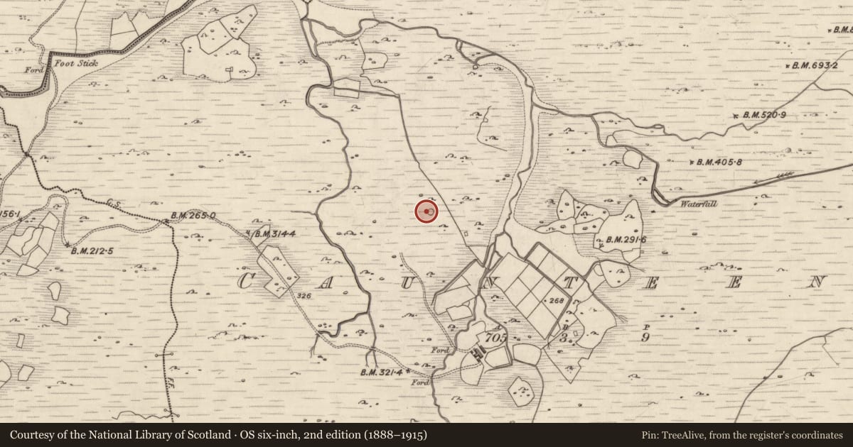Ordnance Survey six-inch map, 2nd edition (1888–1915) covering the location of Enclosure, Na Cáintíní, County Kerry, with a pin at the register's coordinates