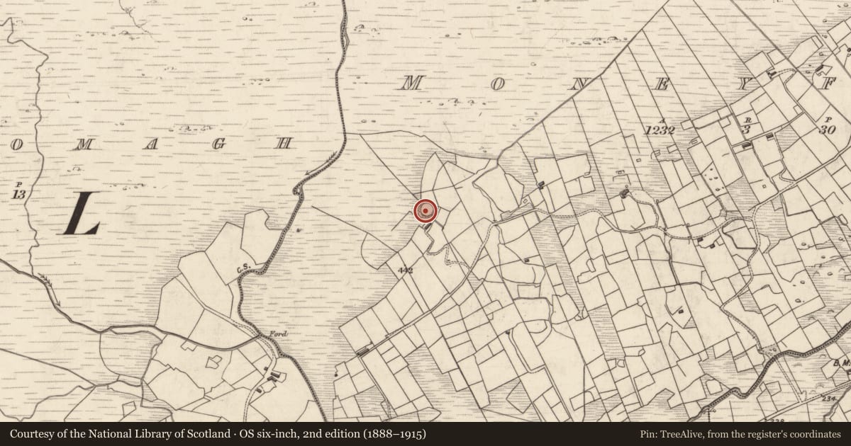 Ordnance Survey six-inch map, 2nd edition (1888–1915) covering the location of Ringfort - cashel, Moneyflugh, County Kerry, with a pin at the register's coordinates