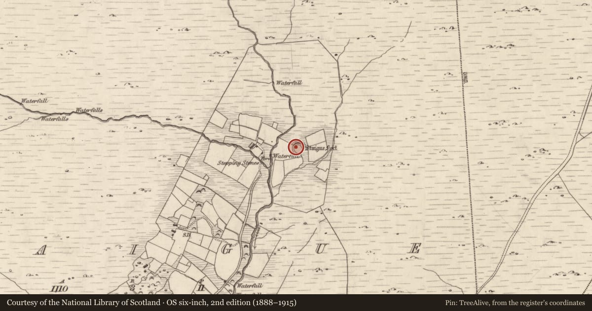 Ordnance Survey six-inch map, 2nd edition (1888–1915) covering the location of Ringfort - cashel, Staigue, County Kerry, with a pin at the register's coordinates