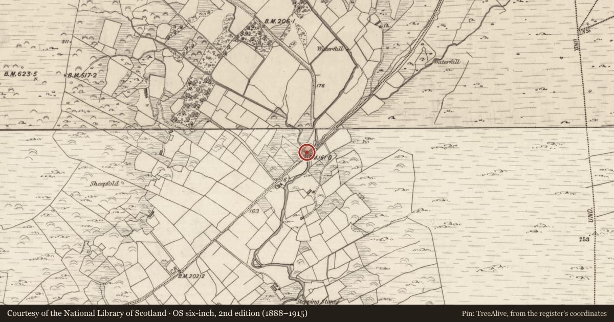 Ordnance Survey six-inch map, 2nd edition (1888–1915) covering the location of Road - road/trackway, Staigue, County Kerry, with a pin at the register's coordinates