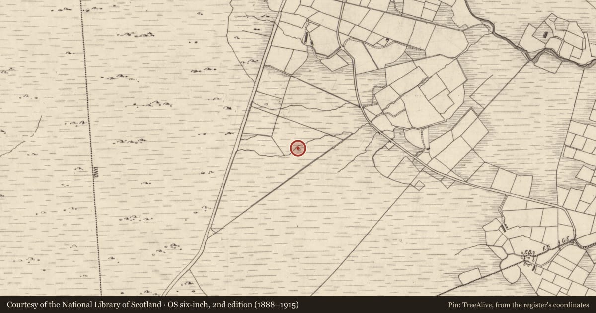 Ordnance Survey six-inch map, 2nd edition (1888–1915) covering the location of Enclosure, Bohacogram, County Kerry, with a pin at the register's coordinates