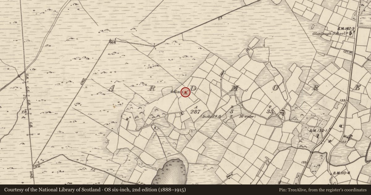 Ordnance Survey six-inch map, 2nd edition (1888–1915) covering the location of Standing stone, Ardmore, County Kerry, with a pin at the register's coordinates