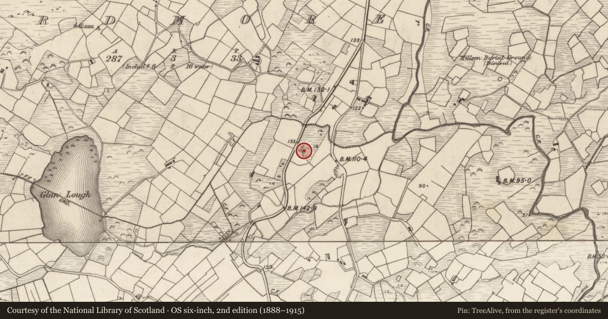 Ordnance Survey six-inch map, 2nd edition (1888–1915) covering the location of Souterrain, Glanlough Lower, County Kerry, with a pin at the register's coordinates