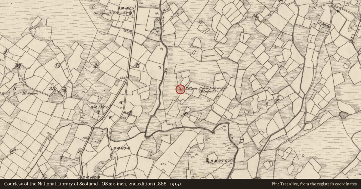 Ordnance Survey six-inch map, 2nd edition (1888–1915) covering the location of Stone row, Derreenauliff, County Kerry, with a pin at the register's coordinates