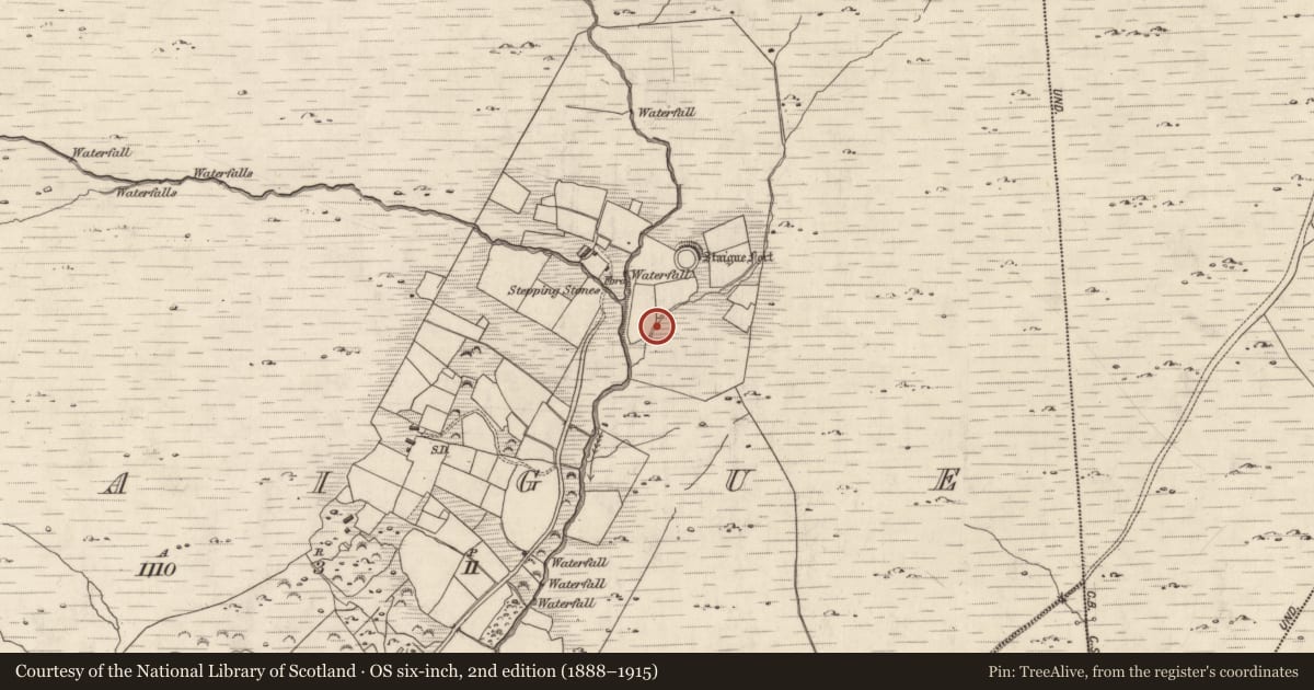 Ordnance Survey six-inch map, 2nd edition (1888–1915) covering the location of Hut site, Staigue, County Kerry, with a pin at the register's coordinates