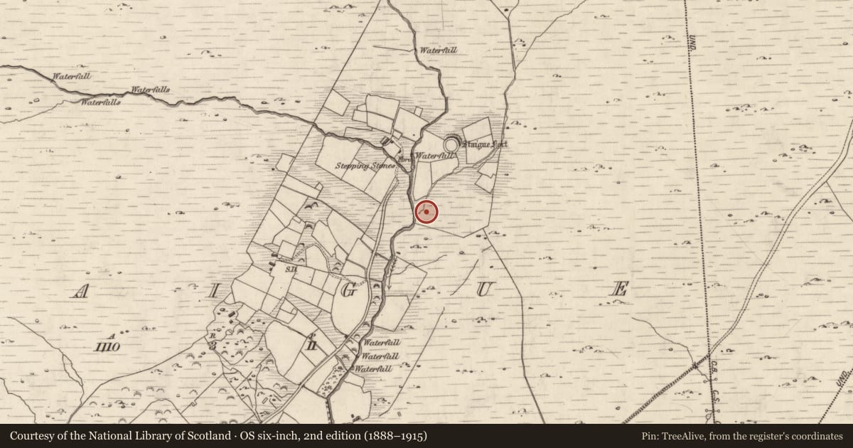 Ordnance Survey six-inch map, 2nd edition (1888–1915) covering the location of Hut site, Staigue, County Kerry, with a pin at the register's coordinates