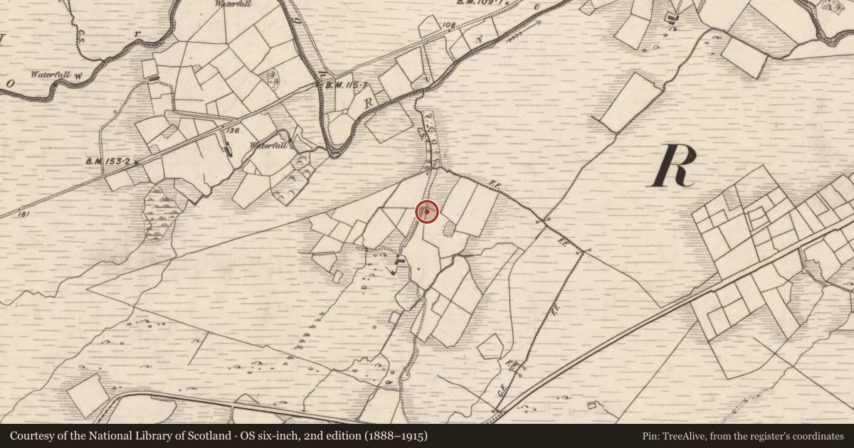 Ordnance Survey six-inch map, 2nd edition (1888–1915) covering the location of Standing stone, Derry West, County Kerry, with a pin at the register's coordinates