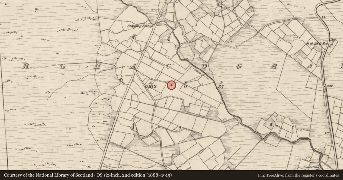 Ordnance Survey six-inch map, 2nd edition (1888–1915) covering the location of Souterrain, Bohacogram, County Kerry, with a pin at the register's coordinates