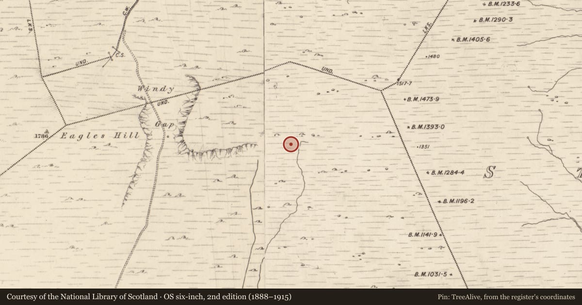 Ordnance Survey six-inch map, 2nd edition (1888–1915) covering the location of Hut site, Gowlanes, County Kerry, with a pin at the register's coordinates