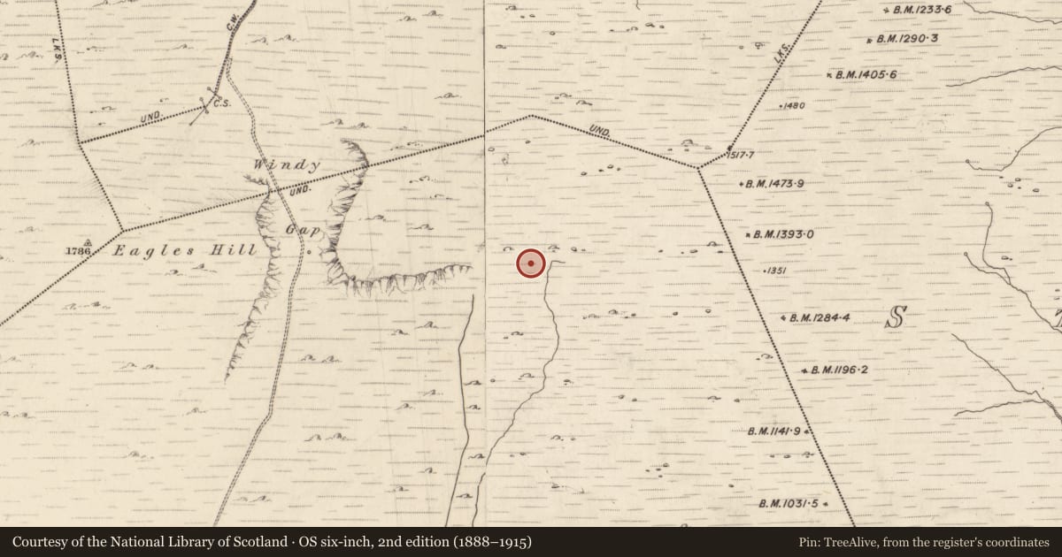Ordnance Survey six-inch map, 2nd edition (1888–1915) covering the location of Hut site, Gowlanes, County Kerry, with a pin at the register's coordinates