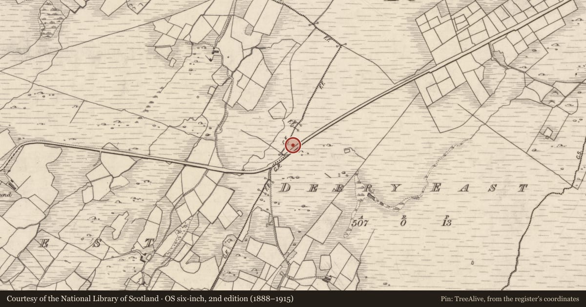 Ordnance Survey six-inch map, 2nd edition (1888–1915) covering the location of Standing stone, Derry West, County Kerry, with a pin at the register's coordinates