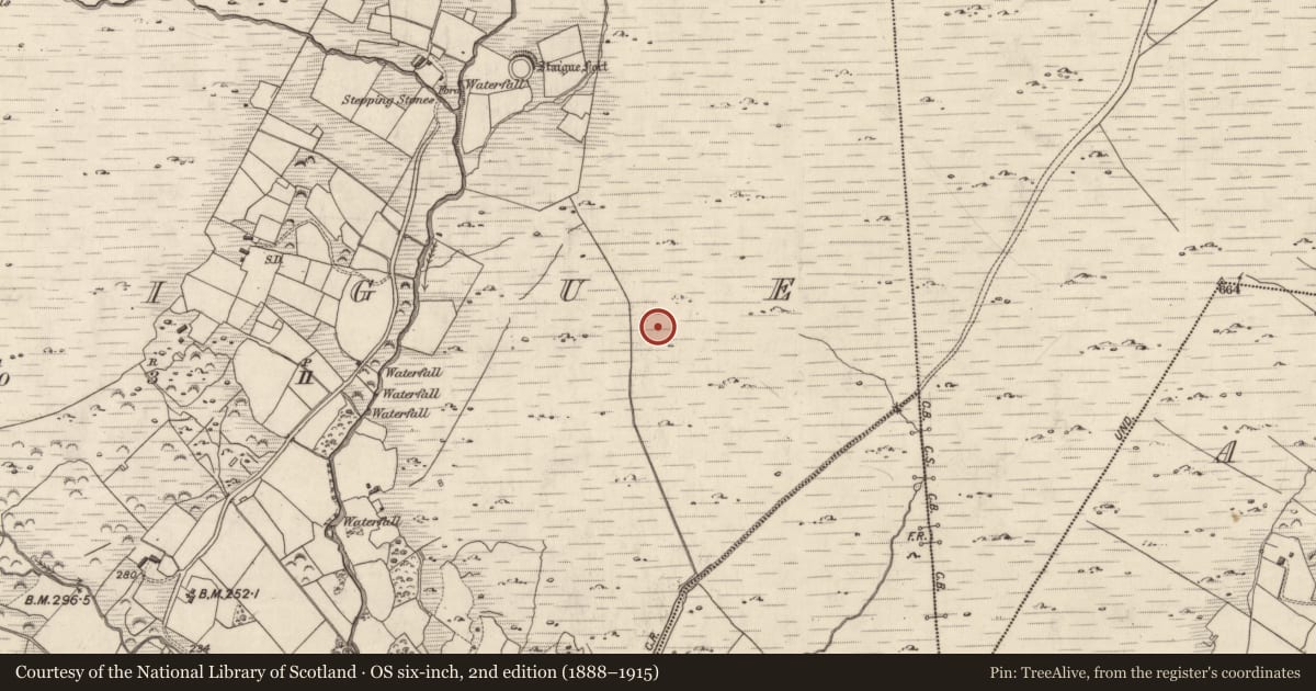 Ordnance Survey six-inch map, 2nd edition (1888–1915) covering the location of Mine - copper, Staigue, County Kerry, with a pin at the register's coordinates