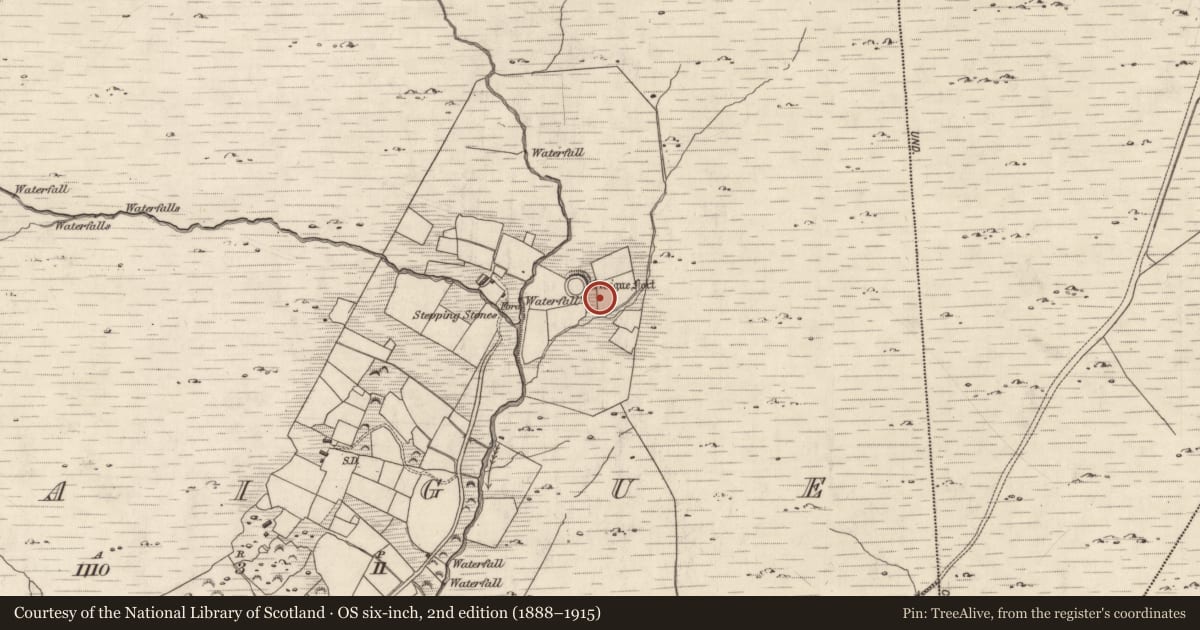 Ordnance Survey six-inch map, 2nd edition (1888–1915) covering the location of Cultivation ridges, Staigue, County Kerry, with a pin at the register's coordinates