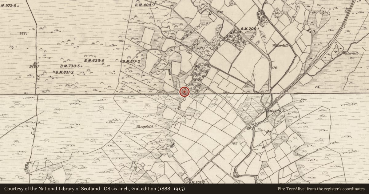 Ordnance Survey six-inch map, 2nd edition (1888–1915) covering the location of Standing stone, Staigue, County Kerry, with a pin at the register's coordinates
